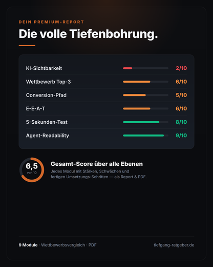 Master-Analyse: Report-Vorschau mit Scores